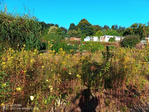 Foto - Grundst&uuml;ck in Crivitz zur Miete