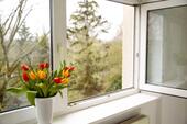 Foto - 4 Zimmer Etagenwohnung zum Kaufen in Leipzig