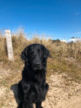 Foto - andere zur Miete in Sankt Peter-Ording