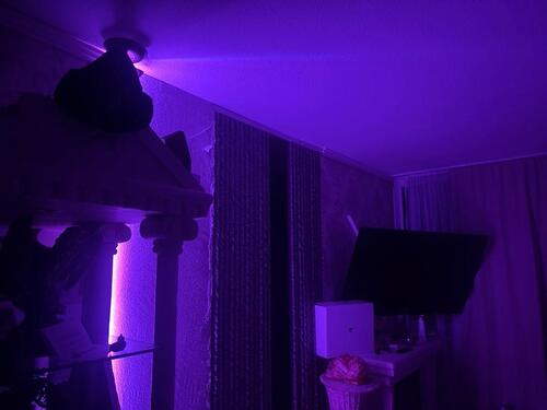 Foto - Zimmer Vermietung alles nur 399€ mit Internet