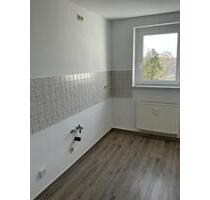 Hell und freundlich! - 320,00&nbsp;EUR Kaltmiete, ca.&nbsp; 48,92&nbsp;m&sup2; in Nordhausen (PLZ: 99734)