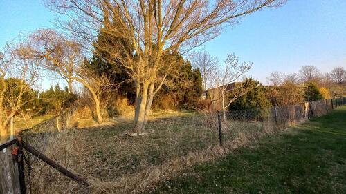 Foto - 330 m² Garten zum Erholen und Verwirklichen