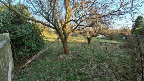 Foto - Grundst&uuml;ck in Limbach-Oberfrohna zur Miete