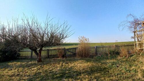Foto - 