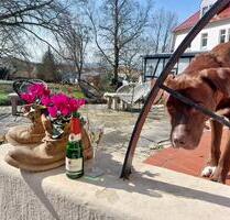 Urlaub in Bad Liebenstein mit Hund