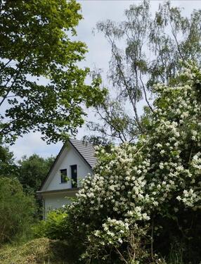 Foto - Paradies in Alleinlage - 495.000,00 EUR Kaufpreis,