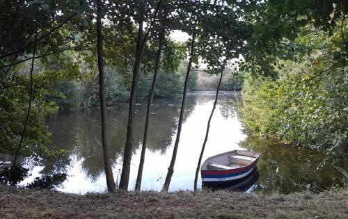 Foto - Einfamilienhaus in Hohnstorf (Elbe)