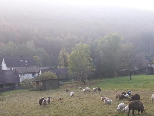 Foto - 6 Zimmer Einfamilienhaus zum Kaufen in Bodenfelde