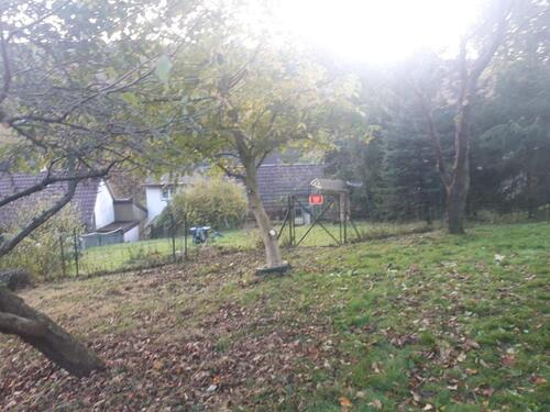 Foto - Einfamilienhaus in Bodenfelde zum Kaufen