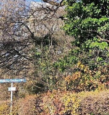 Foto - München Cosimastr. Wohnung zu vermieten 1,5 Zi ab sofort.