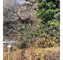 München Cosimastr. Wohnung zu vermieten 1,5 Zi ab sofort.