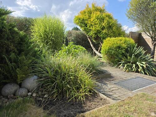 Foto - Pachtgarten mit 550 m² mit Laube abzugeben zum 01.03.2026