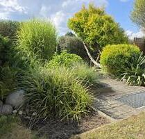 Pachtgarten mit 550 m² mit Laube abzugeben zum 01.03.2026 - Bad Lausick