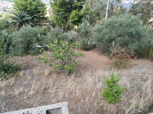 Foto - Grundst&uuml;ck in Leimen zum Kaufen