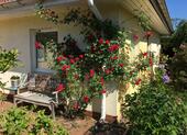 Foto - Einfamilienhaus zum Kaufen in Velten
