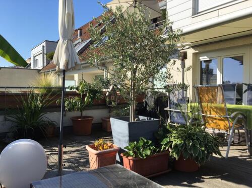Foto - 2 Zimmer Terrassenwohnung zum Kaufen in Düsseldorf