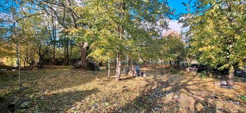 Foto - Einfamilienhaus zum Kaufen in Radebeul