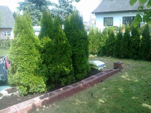 Foto - 3 Zimmer Terrassenwohnung zum Kaufen in Norheim