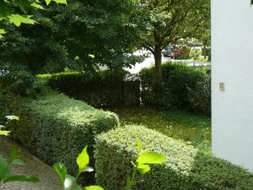 Foto - 2.5 Zimmer Terrassenwohnung in Friedrichshafen