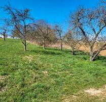 Baumgrundstück Streuobstwiese Gundelsheim Höchstberg