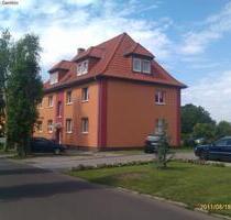 3 Zimmer Wohnung im EG- Wohnen in zentraler ruhiger Lage in Burg- WG Nr. 1