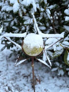 Foto - Ferienwohnung „ Unter den Linden „Ostfriesland