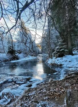Foto - Ferienwohnung HarzLiebe - 69,00&nbsp;EUR Kaltmiete,