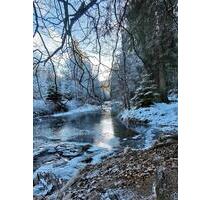 Ferienwohnung HarzLiebe - 69,00&nbsp;EUR Kaltmiete, in Langelsheim (PLZ: 38685)