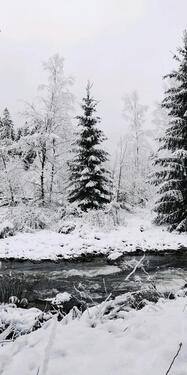 Foto - andere in Langelsheim zur Miete