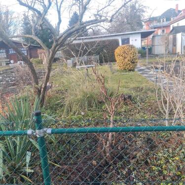 Foto - Grundstück zur Miete in Dresden