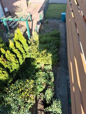 Foto - 