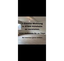 3-Zimmer-Wohnung |Einbauküche inklusive | Garage | 2025 saniert - Külsheim