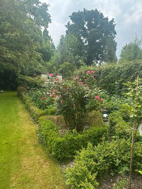 Foto - Doppelhaushälfte in Neumünster zum Kaufen