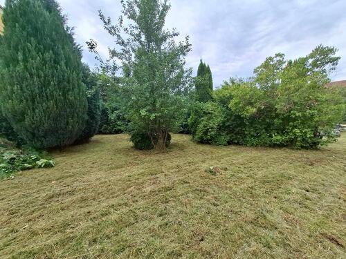 Foto - Einfamilienhaus zum Kaufen in Löbau