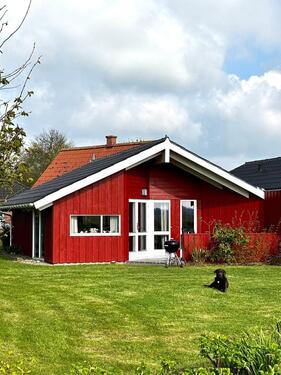 Foto - Haus auf Eiderstedt zu verkaufen