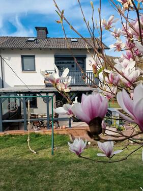 Foto - Keine Urlaubspläne? Willkommen im Ferienhaus in Lügde!