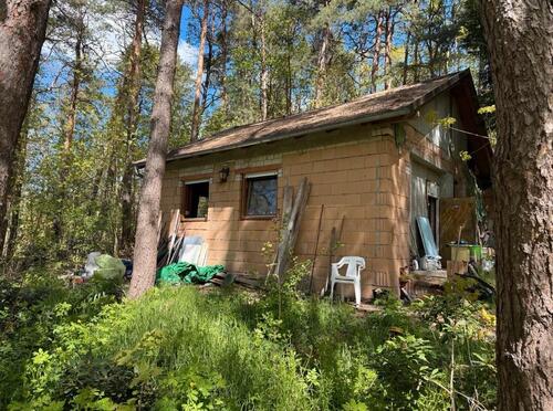 Foto - Wochenendhaus mit 4.500qm Wald in der Dübener Heide