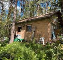 Wochenendhaus mit 4.500qm Wald in der Dübener Heide - Gräfenhainichen