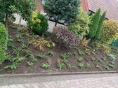 Foto - Etagenwohnung in Rheine