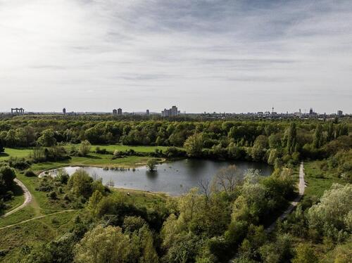 Foto - andere in Köln