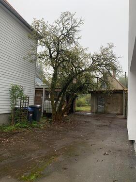 Foto - Einfamilienhaus in Erkenbrechtsweiler