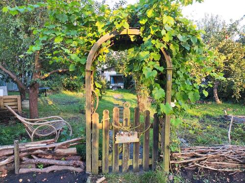 Foto - Großer Kleingarten in der Südstadt