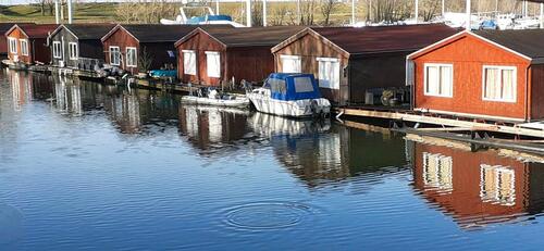 Foto - HausbootFerienhausSee,Entspannung mit HundAngelnTretboot