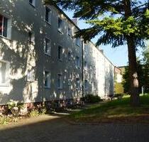 Sanierte 3 Raumwohnung. Küche und Bad mit Fenster! - Prenzlau