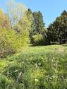 Foto - Garten Erholungsfläche Mieten Remscheid Ronsdorf Wuppertal