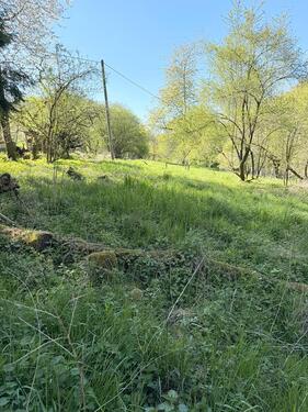 Foto - Grundst&uuml;ck in Wuppertal
