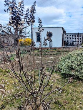 Foto - Grundst&uuml;ck zur Miete in Senftenberg