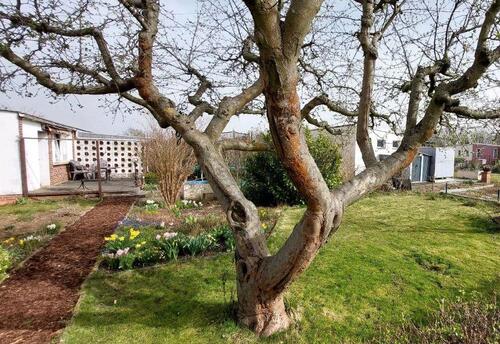 Foto - Grundst&uuml;ck in Senftenberg