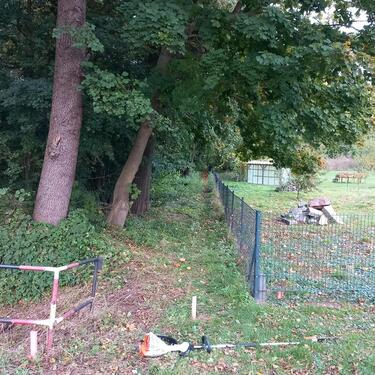 Foto - Grundstück in Greifswald