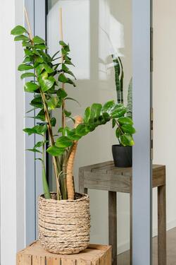 Foto - andere zur Miete in Köln